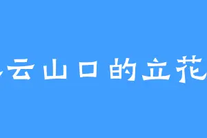 密云山口的立花蕾