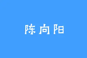 陈向阳
