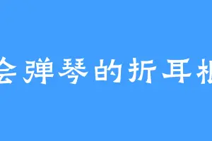 会弹琴的折耳根