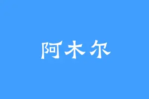 阿木尔