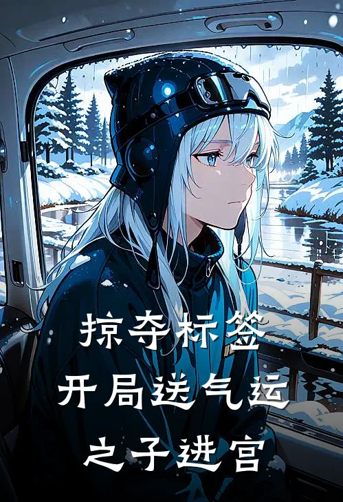 掠夺标签：开局送气运之子进宫