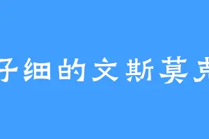 仔细的文斯莫克