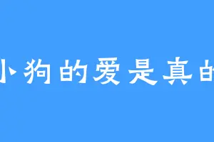 小狗的爱是真的