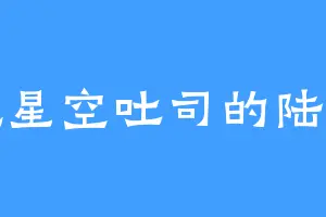 爱吃星空吐司的陆公子