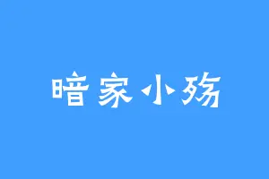 暗家小殇