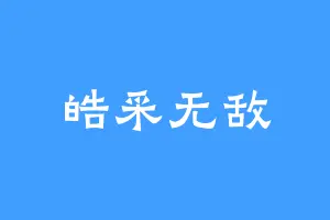 皓采无敌
