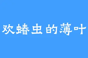 喜欢蝽虫的薄叶辰