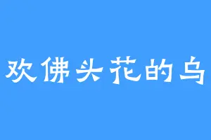 喜欢佛头花的乌诺