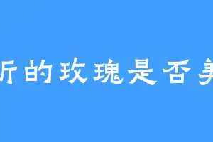 被折的玫瑰是否美丽