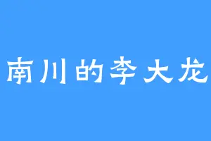 南川的李大龙
