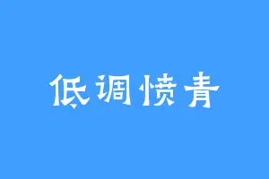 低调愤青