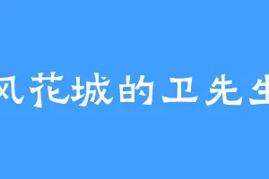 风花城的卫先生
