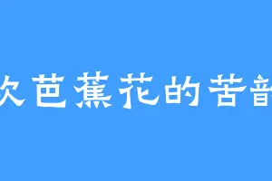 喜欢芭蕉花的苦韵芝