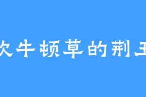 喜欢牛顿草的荆王城