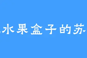 爱吃水果盒子的苏雨灵