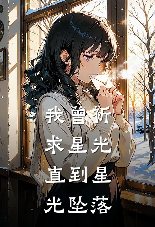 我曾祈求星光，直到星光坠落(保研宋祁寒)在线免费小说_完结小说免费阅读我曾祈求星光，直到星光坠落保研宋祁寒