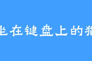 坐在键盘上的猫