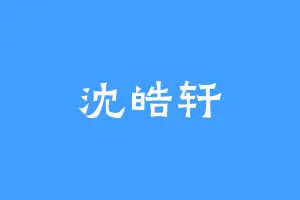 沈皓轩