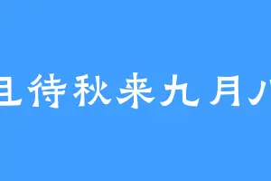 且待秋来九月八