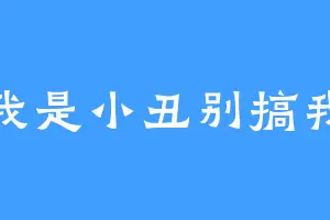 我是小丑别搞我