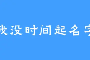 我没时间起名字