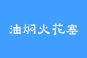 油焖火花塞