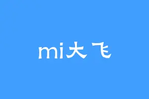 mi大飞