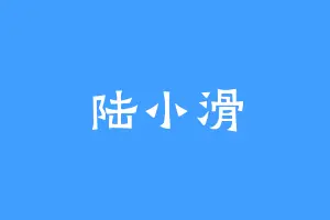 陆小滑