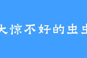 大惊不好的虫虫