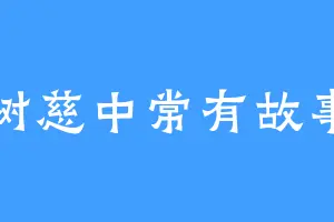 树慈中常有故事