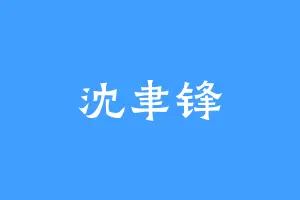 沈聿锋