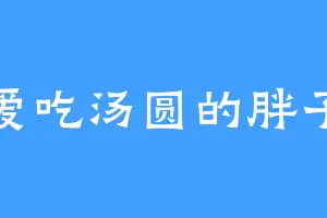 爱吃汤圆的胖子