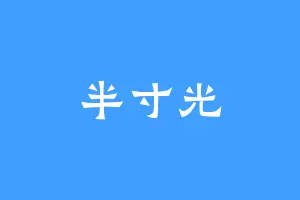 半寸光