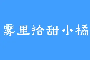 雾里拾甜小橘