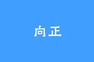 向正