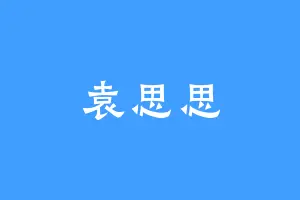 袁思思