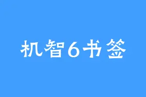 机智6书签