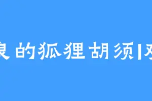 精良的狐狸胡须I欢乐