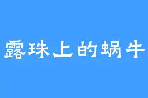露珠上的蜗牛
