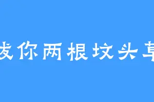 拔你两根坟头草