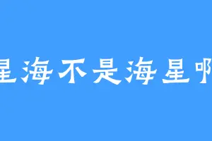 星海不是海星啊
