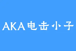 AKA电击小子