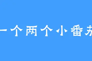 一个两个小番茄