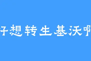 好想转生基沃啊