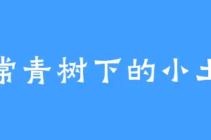 常青树下的小土
