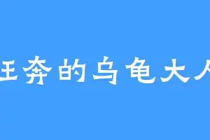 狂奔的乌龟大人