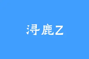 浔鹿Z
