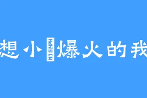 想小説爆火的我