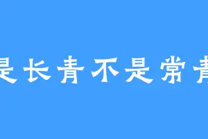 是长青不是常青