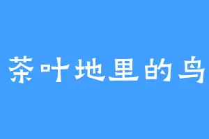 茶叶地里的鸟